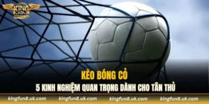 Kèo Bóng Cỏ